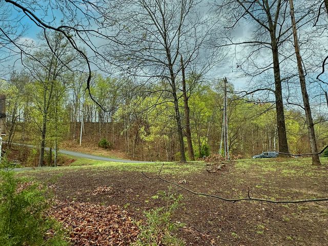 0 David Swann Drive, Dandridge, TN 37725