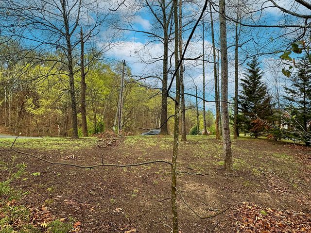 0 David Swann Drive, Dandridge, TN 37725