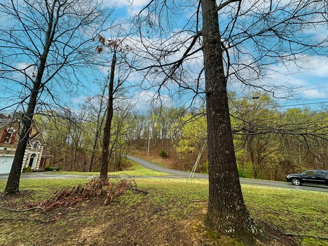 0 David Swann Drive, Dandridge, TN 37725