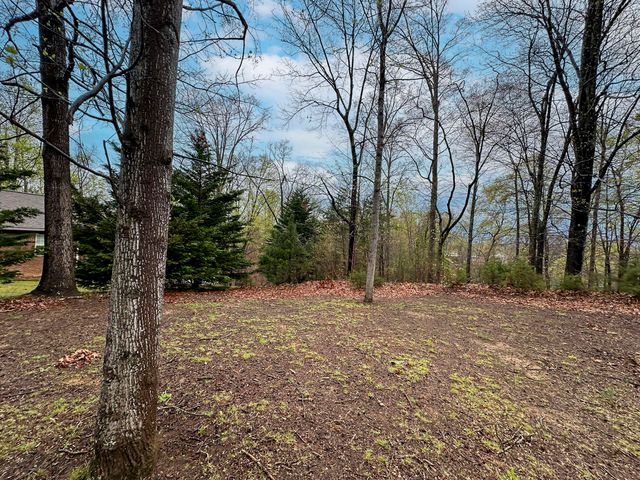 0 David Swann Drive, Dandridge, TN 37725