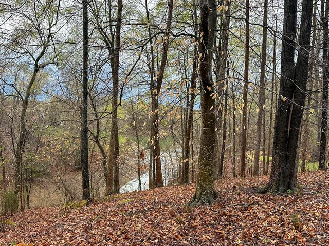 0 David Swann Drive, Dandridge, TN 37725