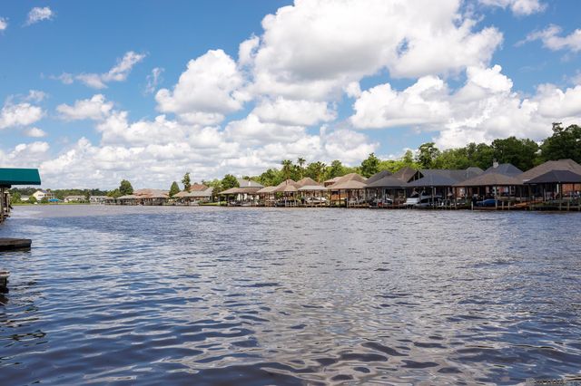 21054 Diversion Canal Rd, Maurepas, LA 70449