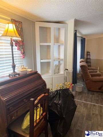 3110 Bluff Road, Marion, SC 29571