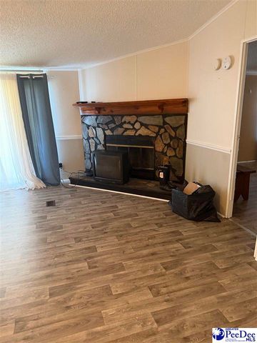 3110 Bluff Road, Marion, SC 29571