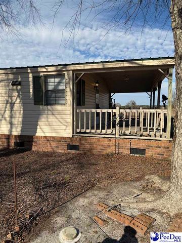 3110 Bluff Road, Marion, SC 29571