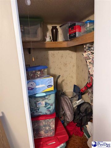 3110 Bluff Road, Marion, SC 29571