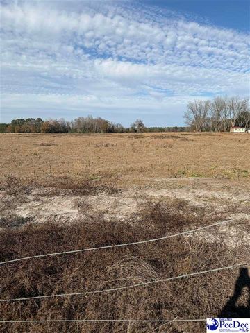 3110 Bluff Road, Marion, SC 29571