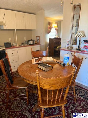 3110 Bluff Road, Marion, SC 29571