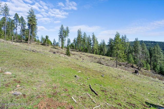 L2B1 NKA Highway 97, Harrison, ID 83833