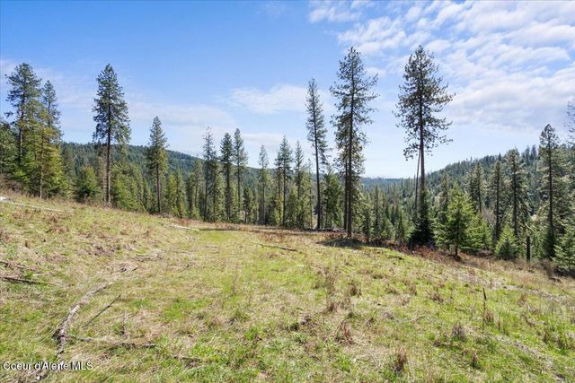 L2B1 NKA Highway 97, Harrison, ID 83833