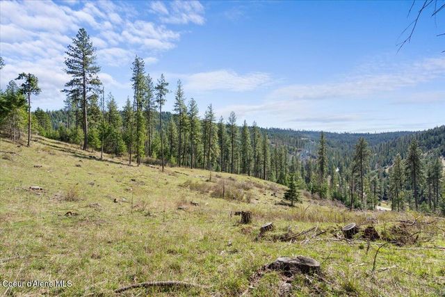 L2B1 NKA Highway 97, Harrison, ID 83833
