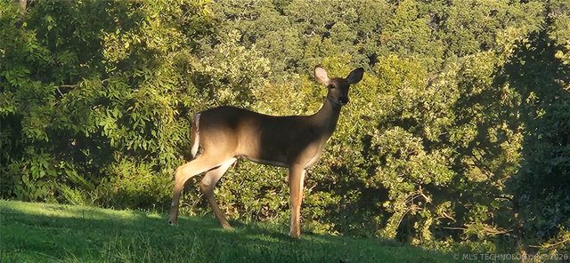 15040 Scenic Circle, Skiatook, OK 74070