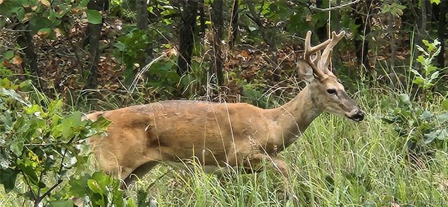 15040 Scenic Circle, Skiatook, OK 74070