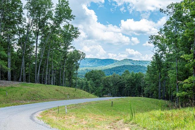 LT 151 The Ridges, Morganton, GA 30560