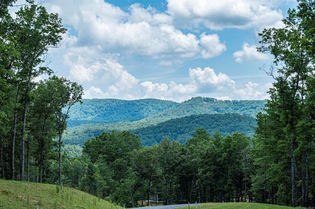 LT 151 The Ridges, Morganton, GA 30560