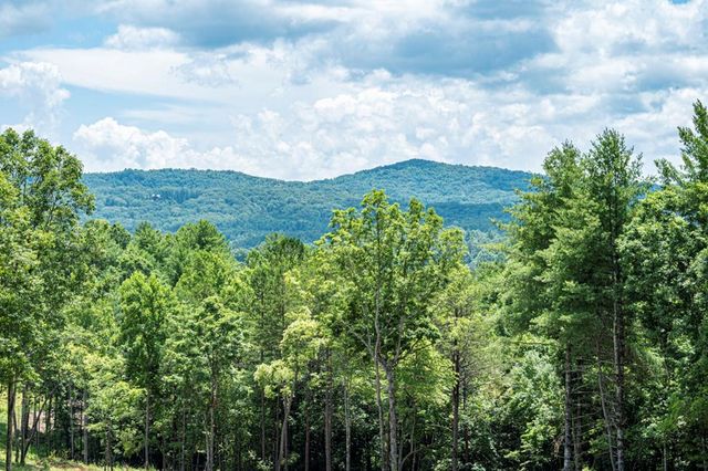 LT 151 The Ridges, Morganton, GA 30560