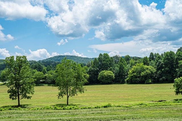 LT 151 The Ridges, Morganton, GA 30560