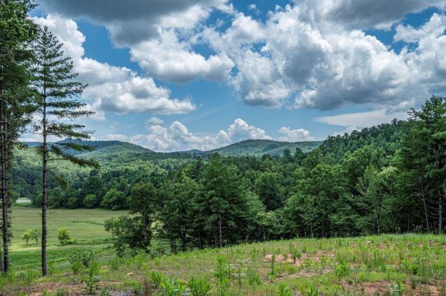 LT 151 The Ridges, Morganton, GA 30560