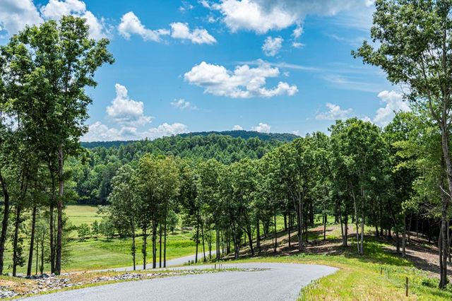 LT 151 The Ridges, Morganton, GA 30560