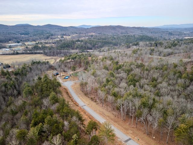 LT 151 The Ridges, Morganton, GA 30560