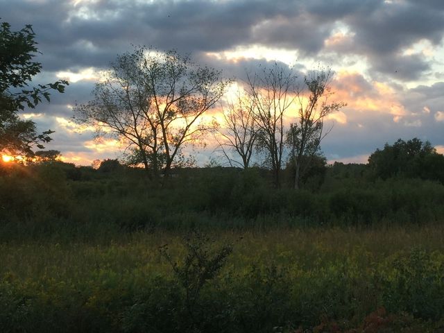 2501 Hennig Road, Hampshire, IL 60140