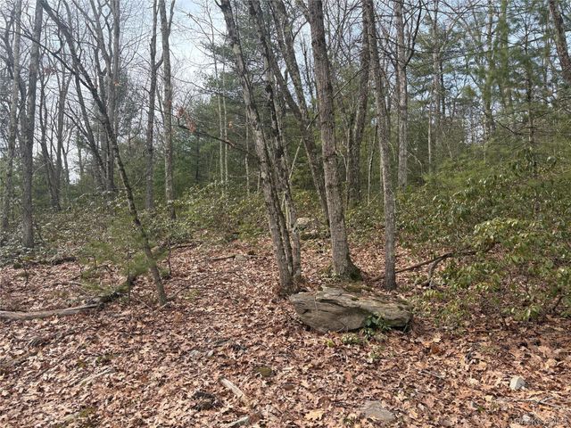 Bennett Road, Napanoch, NY 12458