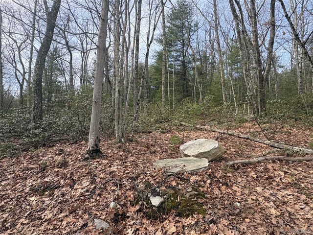Bennett Road, Napanoch, NY 12458