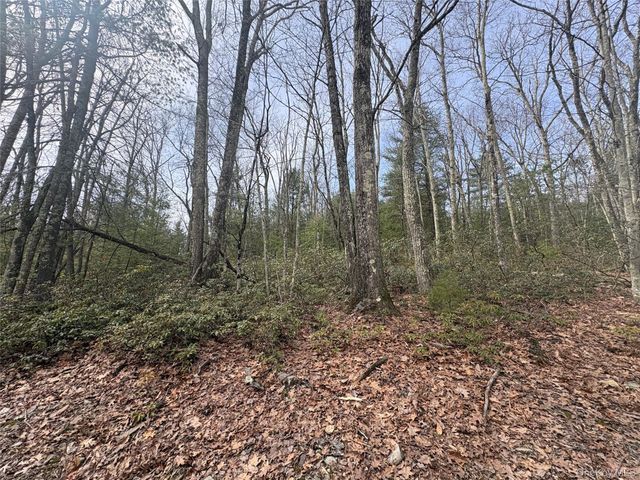 Bennett Road, Napanoch, NY 12458
