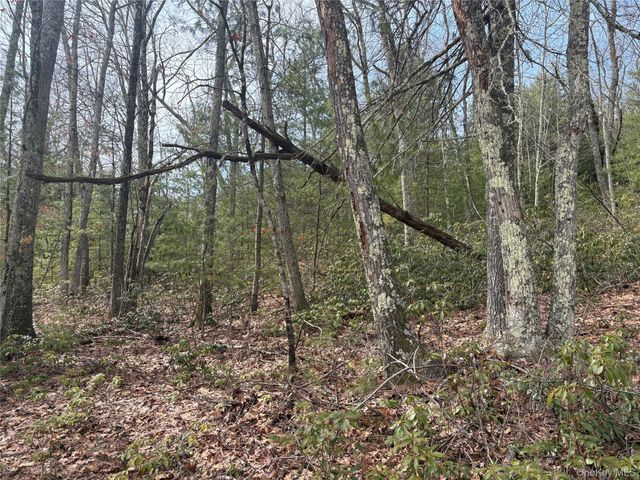 Bennett Road, Napanoch, NY 12458
