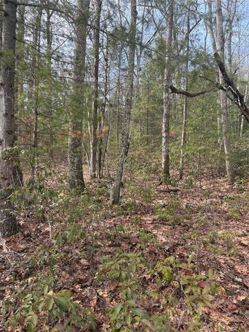 Bennett Road, Napanoch, NY 12458