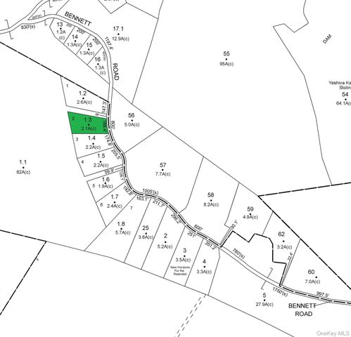 Bennett Road, Napanoch, NY 12458