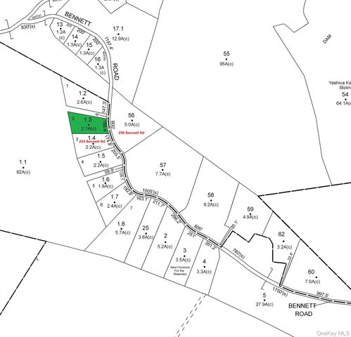 Bennett Road, Napanoch, NY 12458
