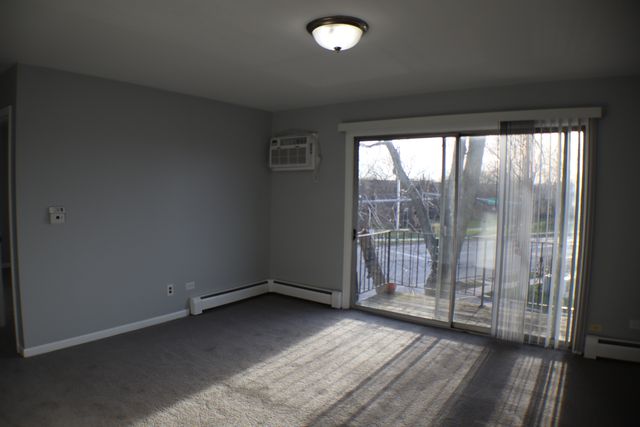 1303 N Baldwin Court B3, Palatine, IL 60074