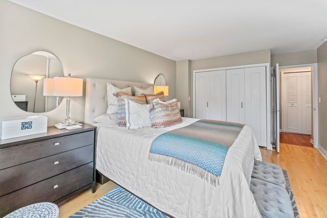 222 E Pearson Street 1706, Chicago, IL 60611