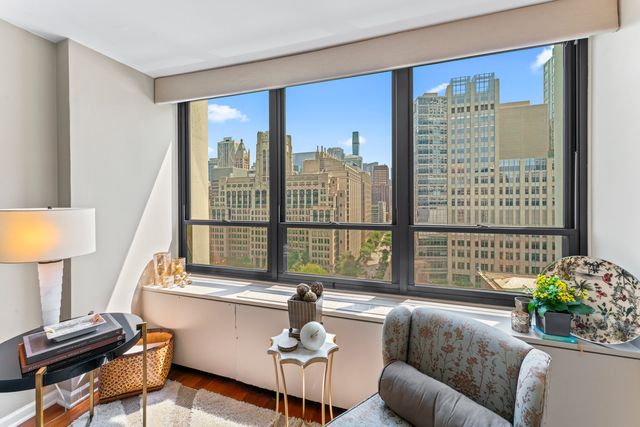 222 E Pearson Street 1706, Chicago, IL 60611