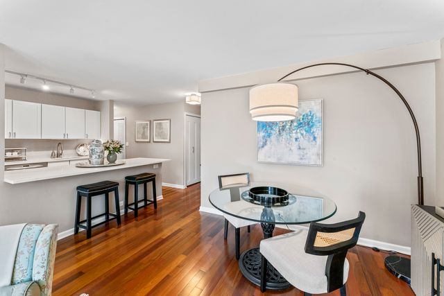 222 E Pearson Street 1706, Chicago, IL 60611