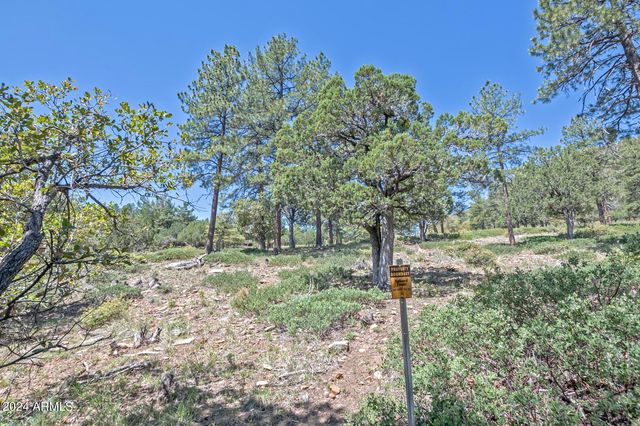 6010 W ARROYO Way, Pine, AZ 85544
