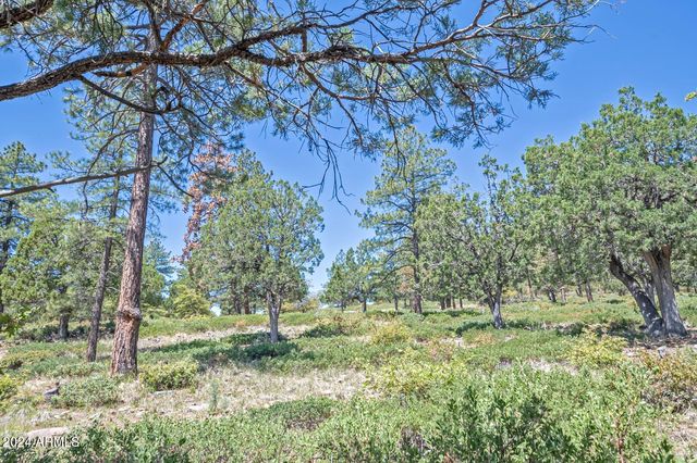 6010 W ARROYO Way, Pine, AZ 85544