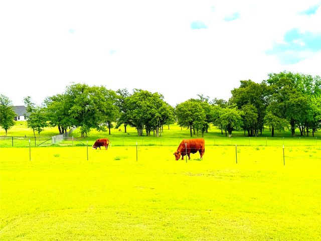 229 Oak Tree Court, Poolville, TX 76487