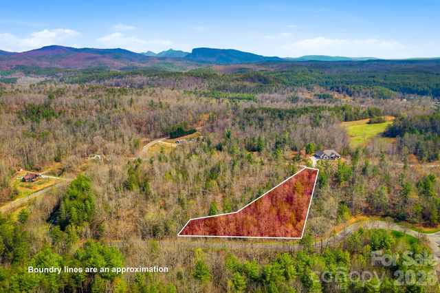 184 Ridge Point Road, Nebo, NC 28761