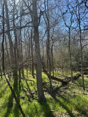 Lot 321 Kolekole LN, Bastrop, TX 78602