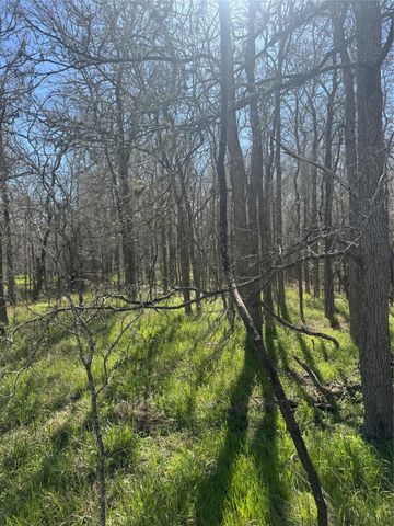 Lot 321 Kolekole LN, Bastrop, TX 78602