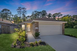 586 Falling Cave Drive, Willis, TX 77378