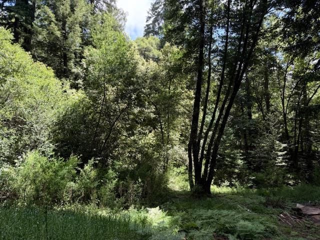 1701 Felton Quarry Rd., Felton, CA 95018