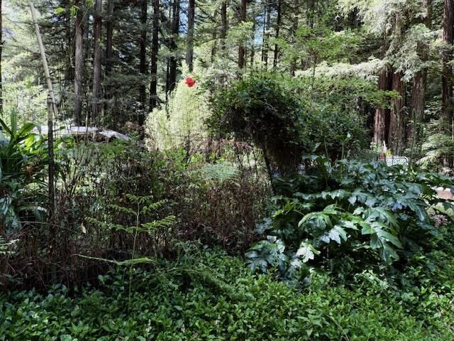 1701 Felton Quarry Rd., Felton, CA 95018