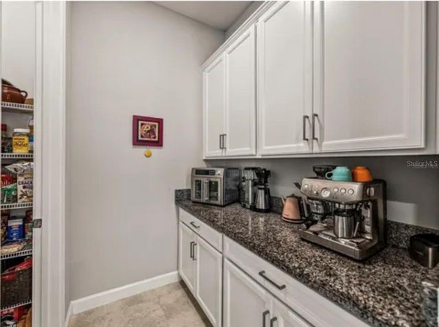 16959 SCUBA CREST STREET, Wimauma, FL 33598