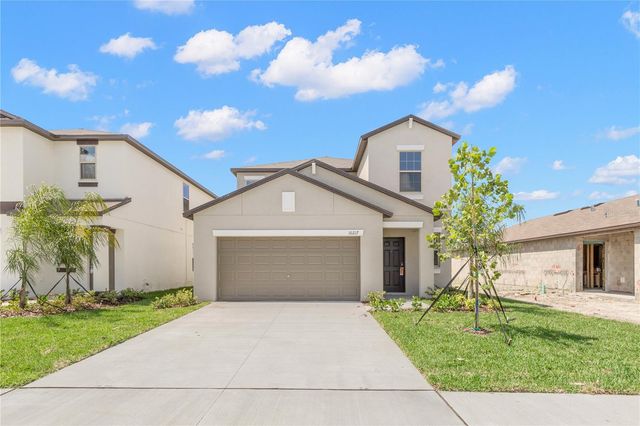 10217 SUMMER KISS AVENUE, Riverview, FL 33578