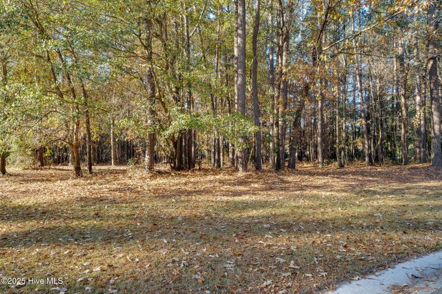 266 Red Fox Run Drive, Wallace, NC 28466