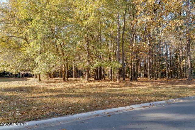 266 Red Fox Run Drive, Wallace, NC 28466