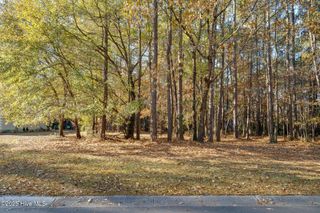 266 Red Fox Run Drive, Wallace, NC 28466